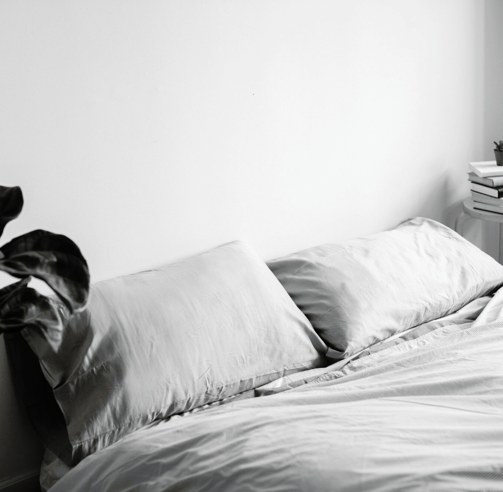 captura de pantalla 2025 10 08 a las 12.50.35 copia